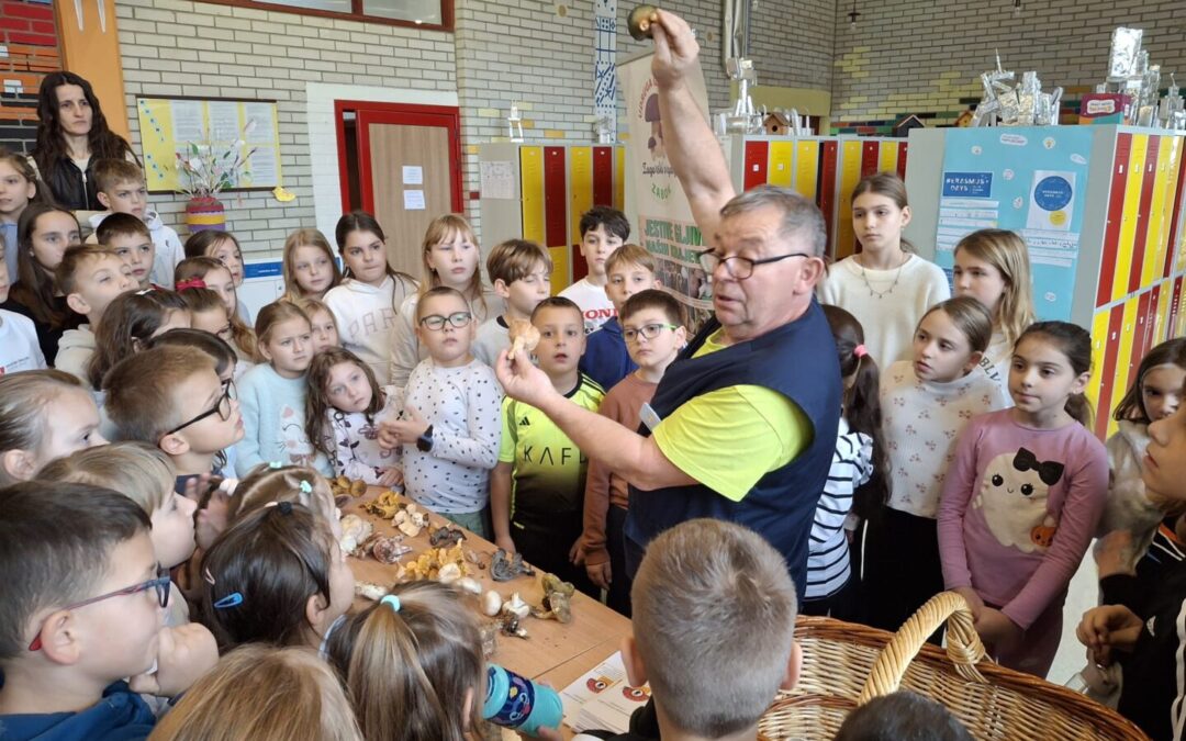 Članovi Udruge gljivara „Zagorski vrganj“ prezentirali i determinirali gljive naših šuma i livada